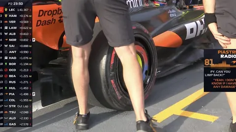 春节旅游狂潮：5亿人次国内游，揭秘文旅市场火爆景象